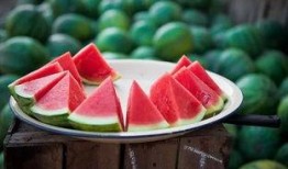 吃瓜每日大赛 吃瓜网51官网版,51官网版吃瓜每日大赛精彩回顾