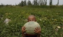 吃瓜炸裂 吃瓜群众在七零,吃瓜群众见证时代变迁